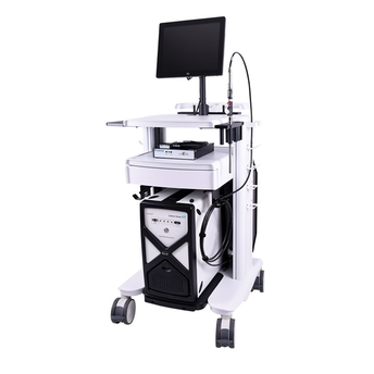 Raman Rxn2 mobil araba