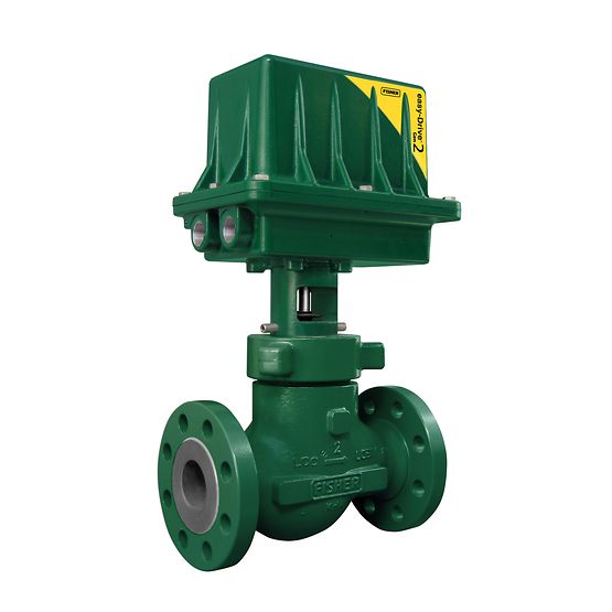 Fisher™ D4 Kontrol Vanası Fisher™ D4 Kontrol Vanası