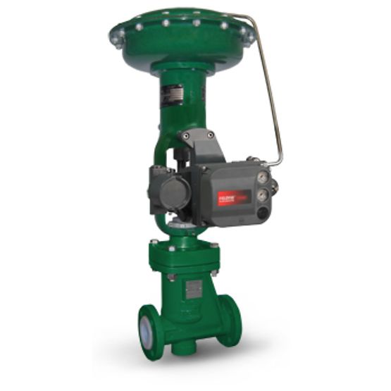 Fisher™ RSS Astarlı Glob Vana Fisher™ RSS Astarlı Glob Vana