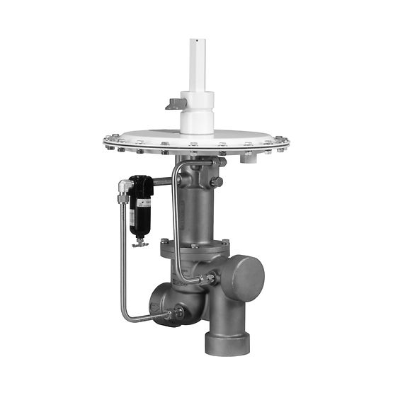 Fisher™ Tip ACE95Sr Tank Battaniye Vanası Fisher™ Tip ACE95Sr Tank Battaniye Vanası