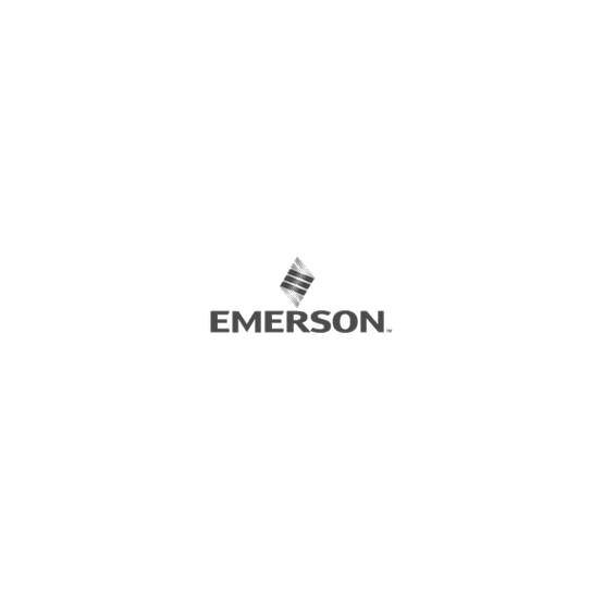 Emerson™ SPARE KIT, WL2 REPLACEMENT, REMOTE ANTENNA, 50 FT. (15,2 M) CABLE, AND LIGHTNING ARRESTOR